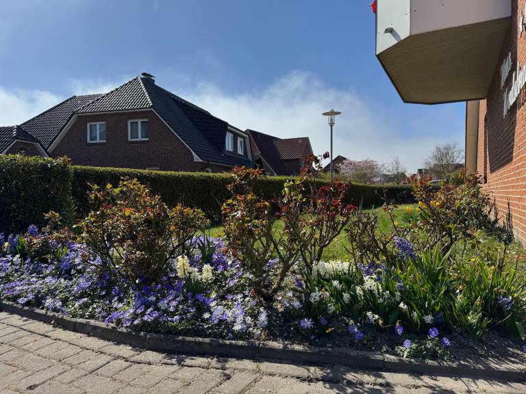 foto19