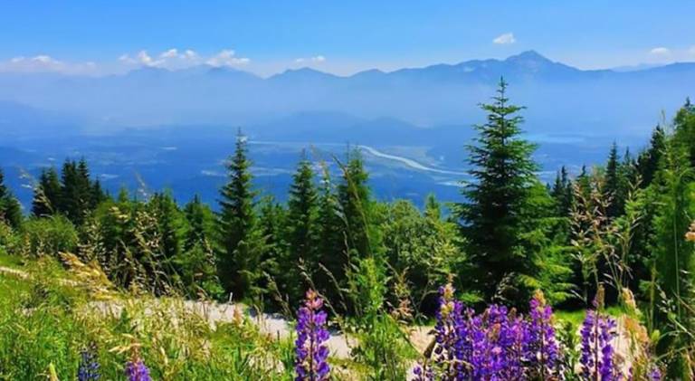 Beautiful apartment | Next to the ski | Dogs allowed in Villach