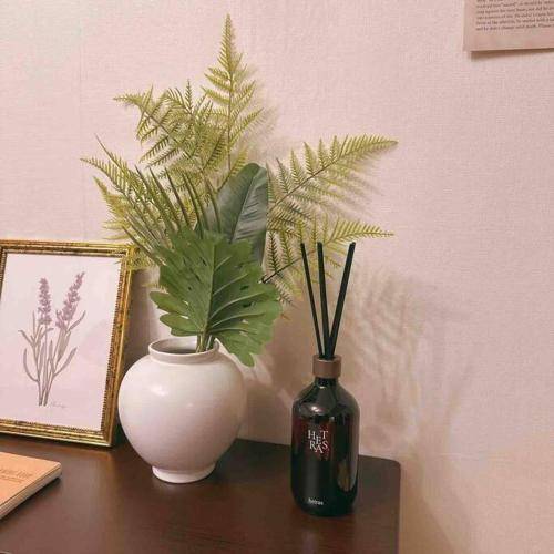 foto10