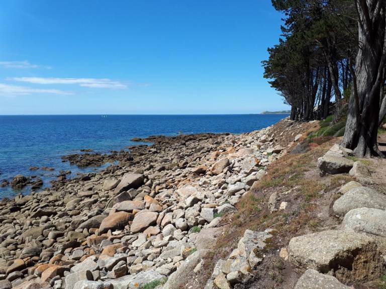 foto42