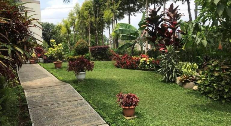 foto40