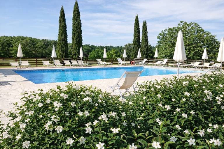 Agriturismo Nerbona: Struttura adatta per grandi gruppi ed eventi — photo 4