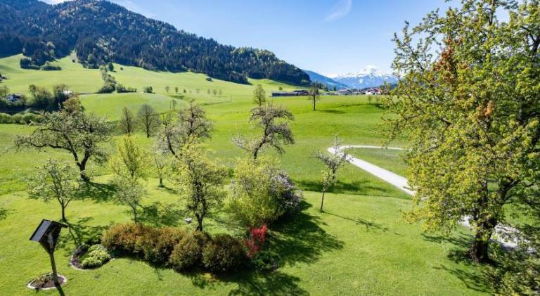 Nice farm with grill & yard | Close to the ski | Pets allowed — photo 4