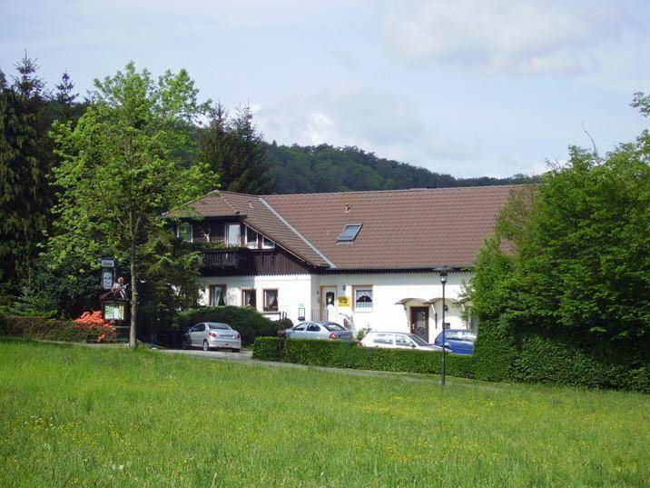 foto1