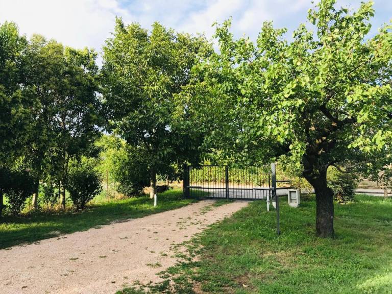 foto20
