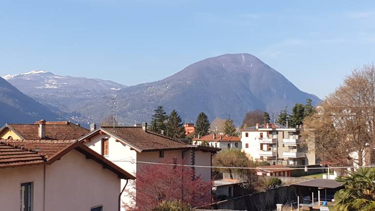 Fully equipped lovely rental apartment with patio & fast internet | Garden view | Pet-friendly — photo 2