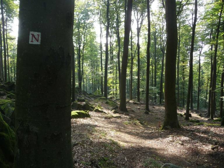 foto19