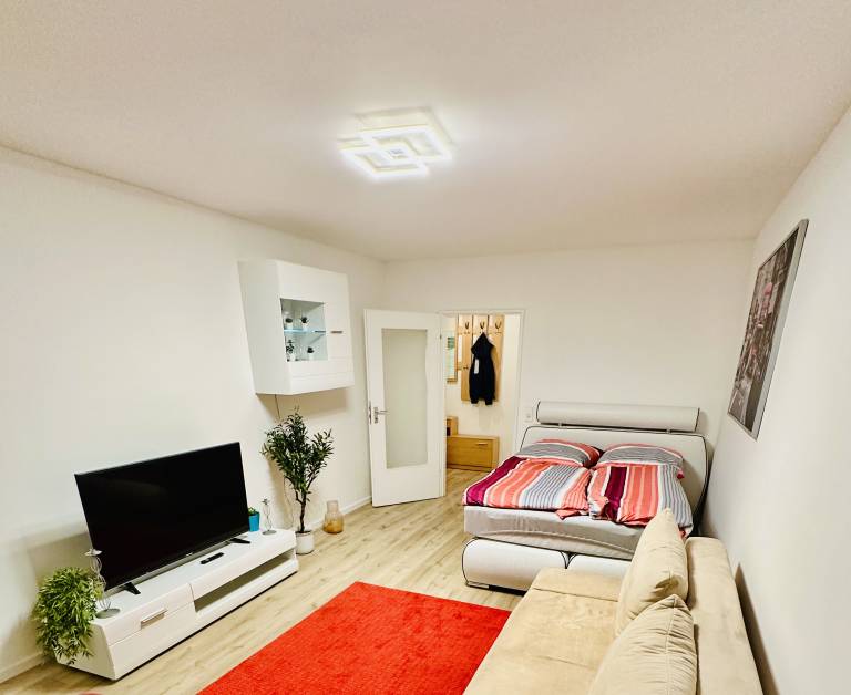 Eastside Apartment Karlsruhe – stilvolles Wohnen mit Ruhe in der Oststadt — photo 2