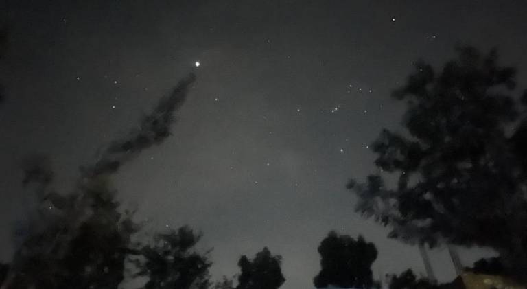 foto42