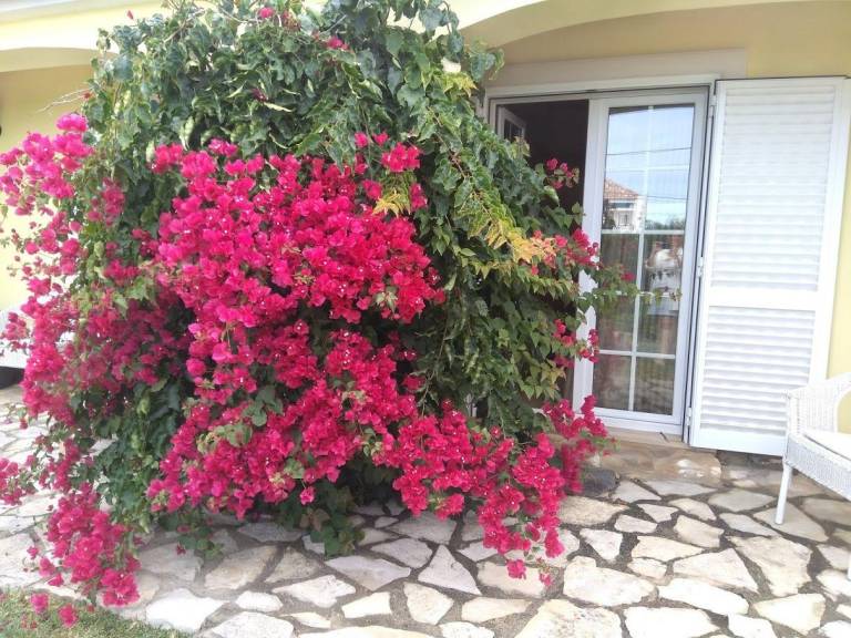 foto11