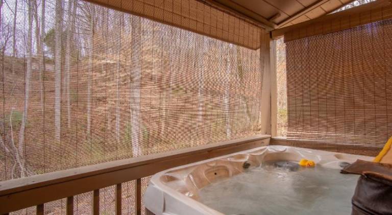 Wonderful house | Pets are welcome in Bryson City, NC