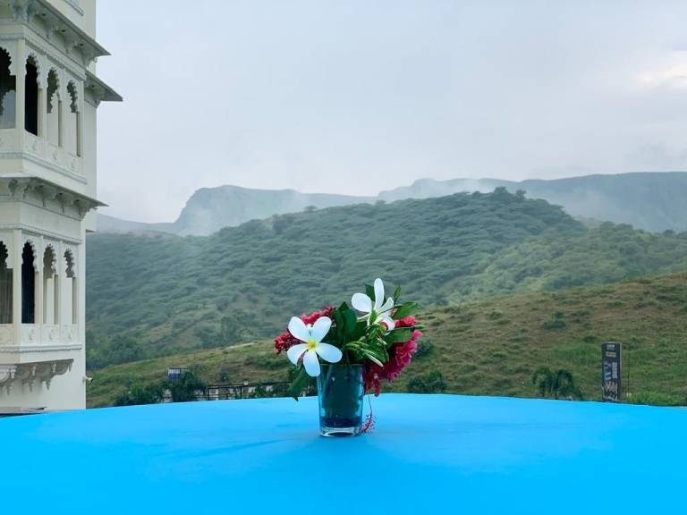 Mewar Place Resort & Spa — photo 5