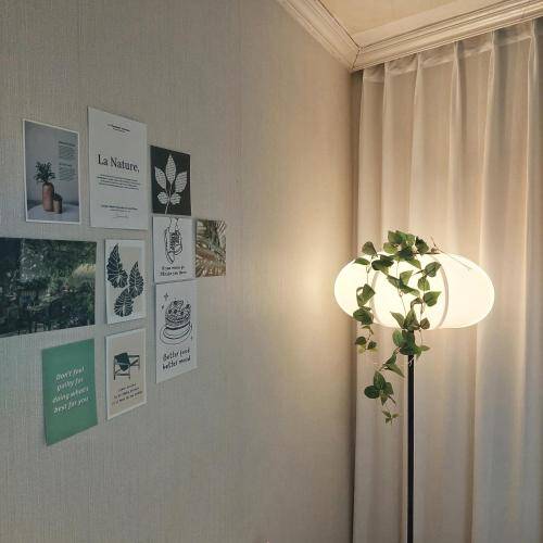 foto15