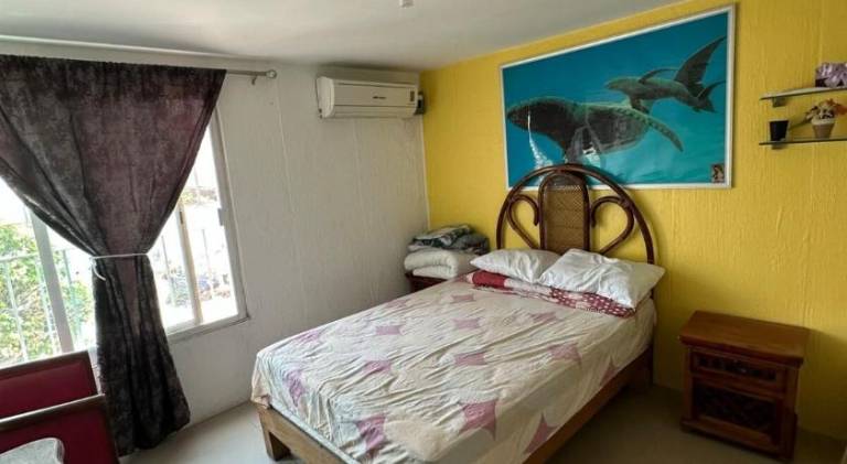 Rental apartment | Pets allowed — photo 5
