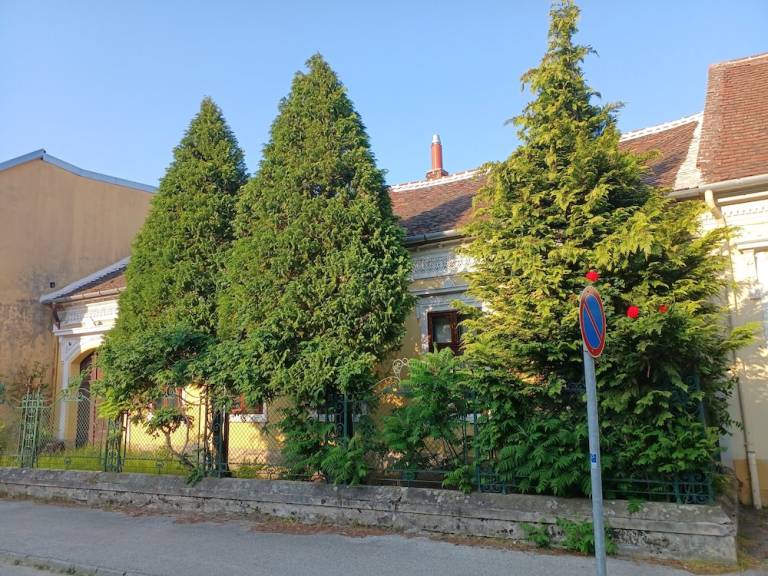 Aparthotel  Velem