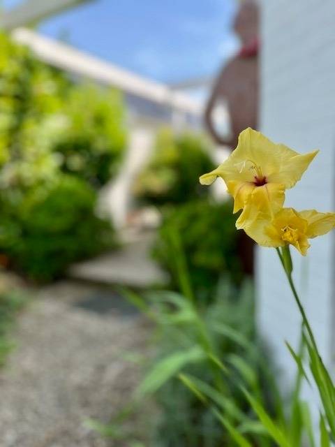 foto16