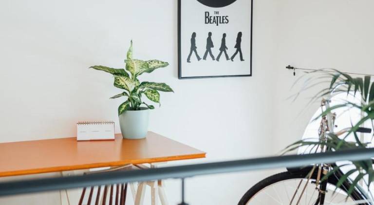 Beautiful apartment | Pets are welcome — photo 5