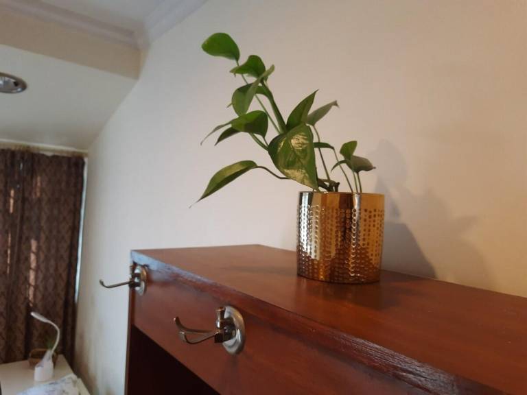 foto17