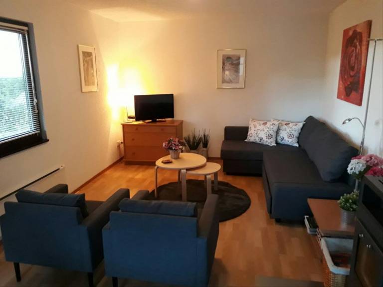Family-friendly charming holiday park with terrace, barbecue & yard | Pets allowed — photo 3