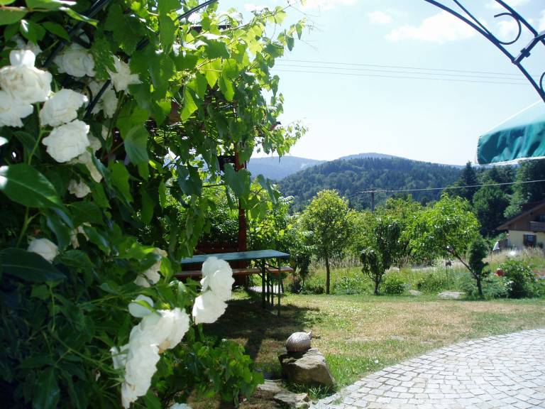 foto14
