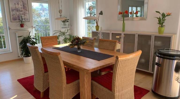 Wonderful apartment with sauna, hot tub & garden | Pets are welcome in Saarlouis