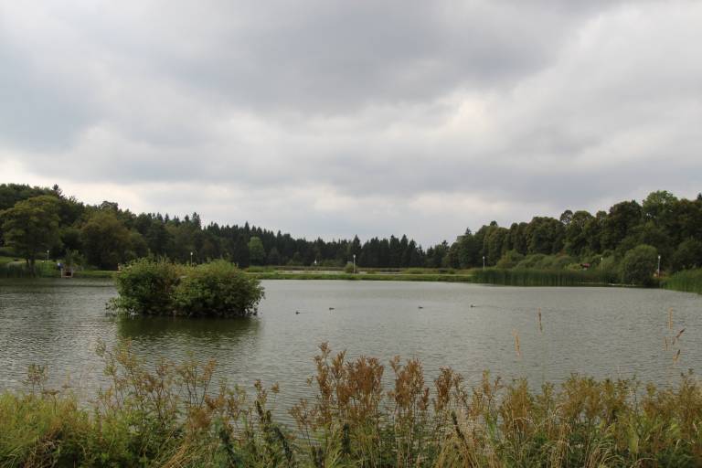 foto10