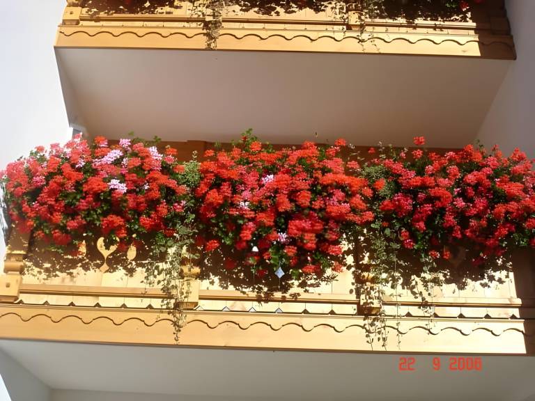 foto38