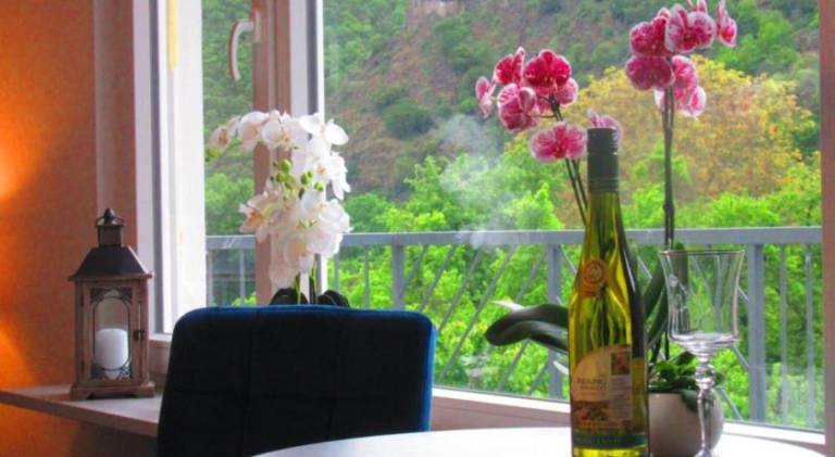 Ferienhaus Leopold mit Burgblick an der Mosel — photo 5