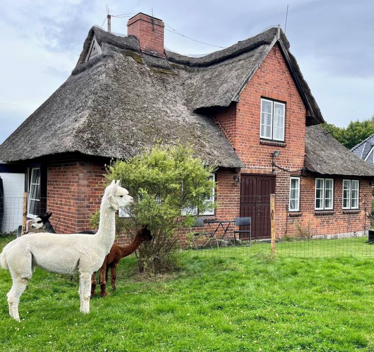 Ferienhaus  Süsel