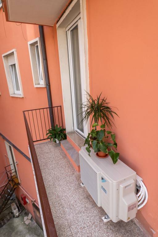 foto19