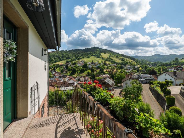 Pleasant house with yard, barbeque & terrace | Nature view | Pets are welcome — photo 3