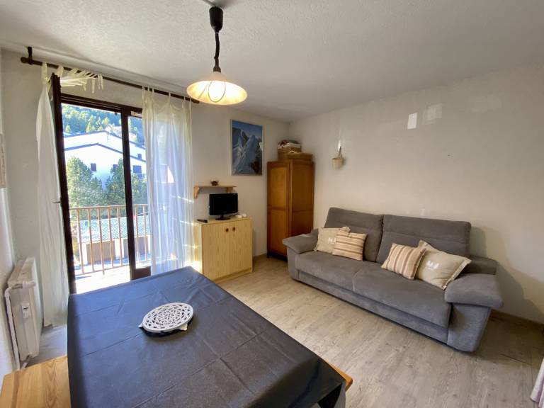 Les Angles - Studio Cabin 21m², 4 Pers, Elevator, Parking, Pets Allowed — photo 4