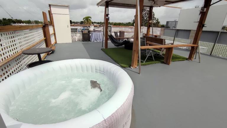 Cozy and Modern Apartment Black & White with Jacuzzi on Terrace in San Juan