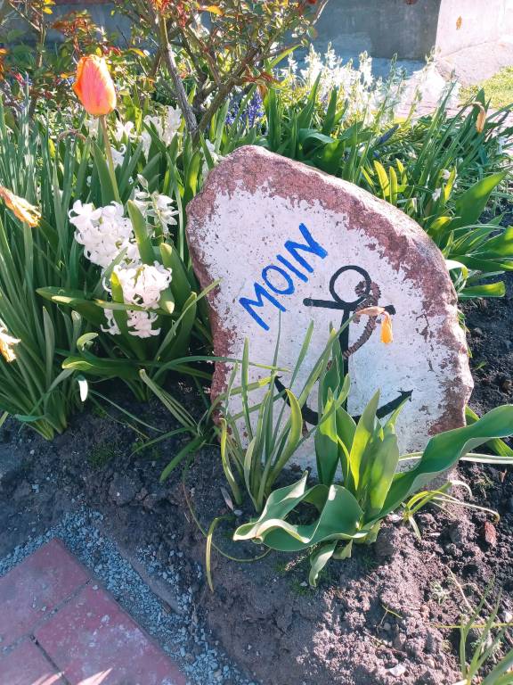 Ferienwohnung  Westermarkelsdorf