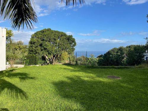 Villa Ischia