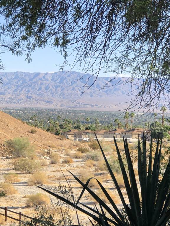 House Palm Desert