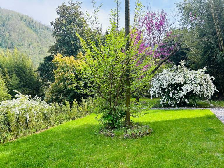 foto44