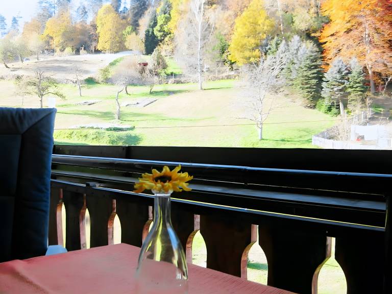 Ferienwohnung Bad Wildbad