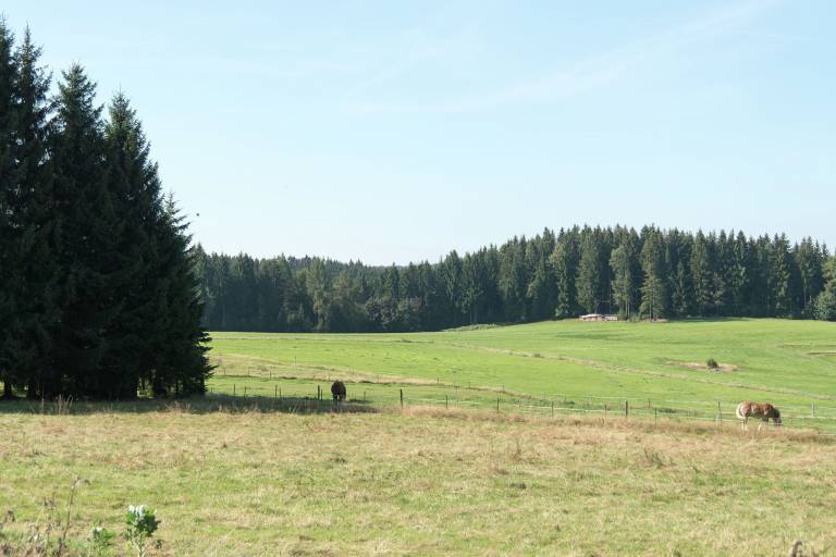 foto21