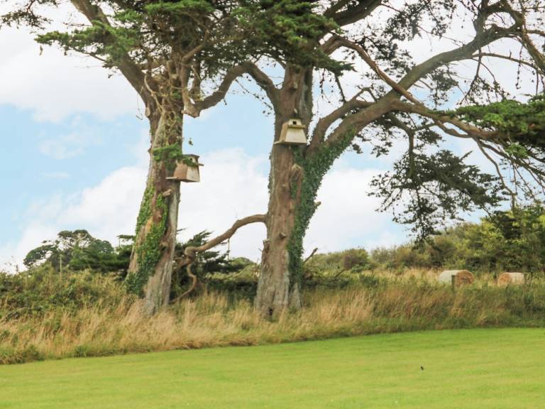 Cottage  Rosslare