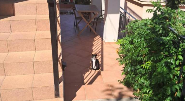 House with garden & terrace — photo 4