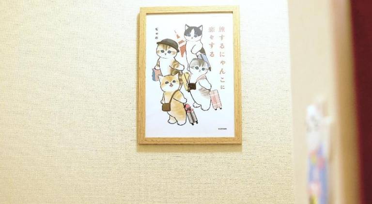 foto7