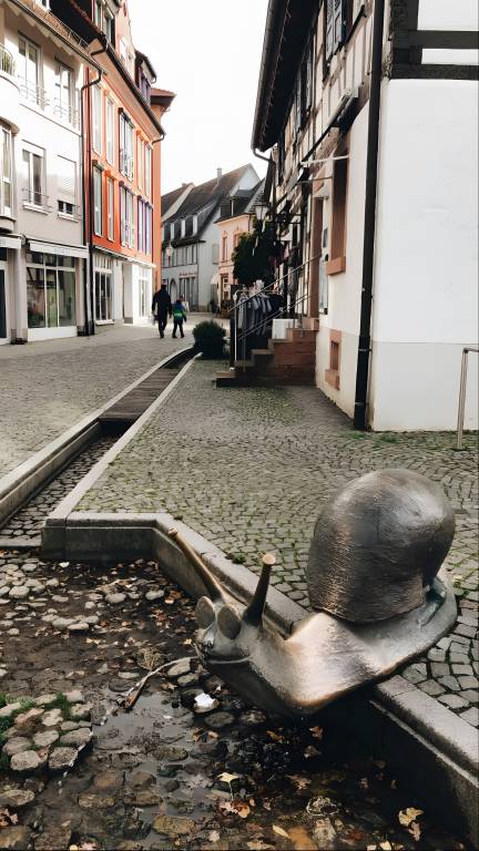 foto20