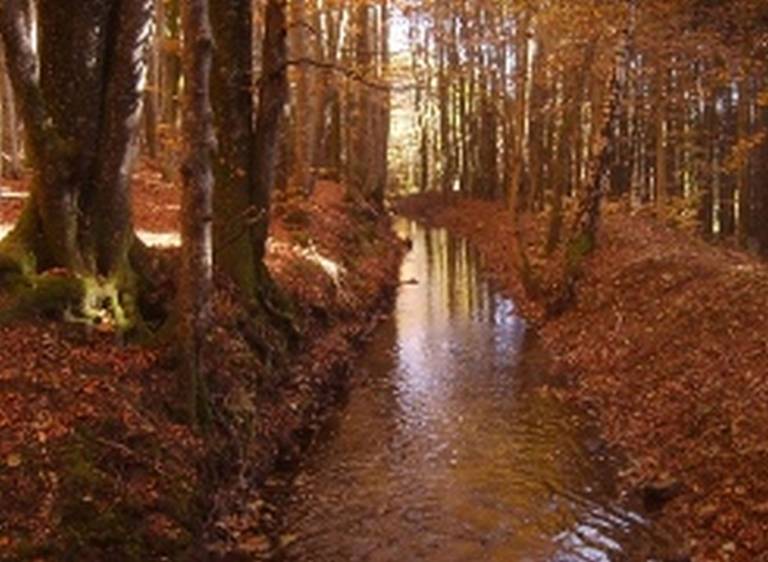 foto11