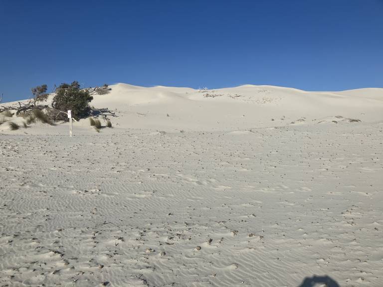 foto4