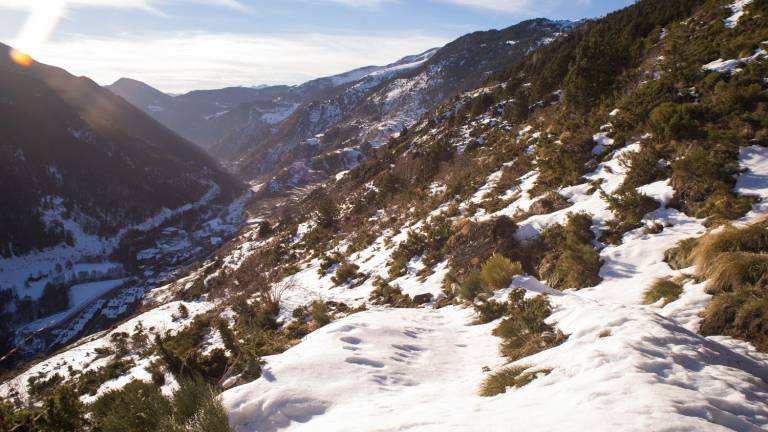 Apartamento  Canillo