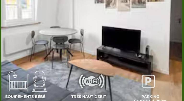 Pleasant holiday apartment | Good for workation | Pets are welcome in Troyes