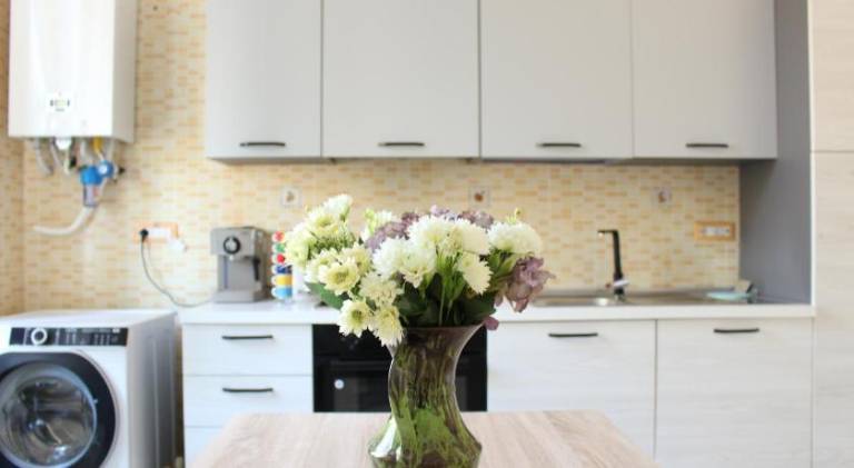 Holiday apartment | Dogs allowed — photo 4