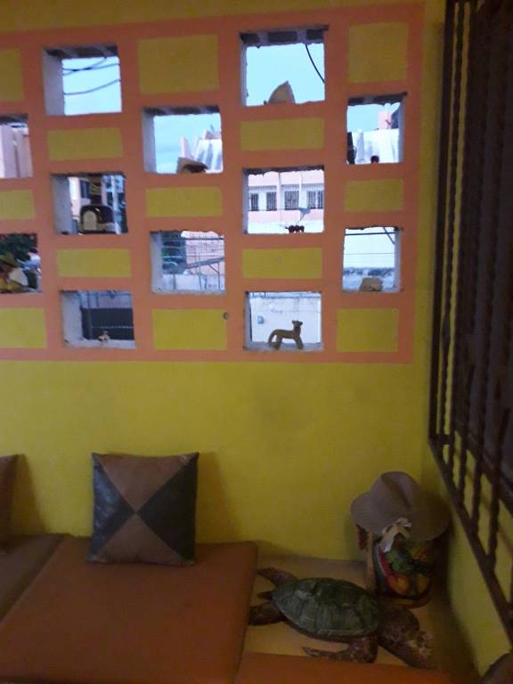 foto21