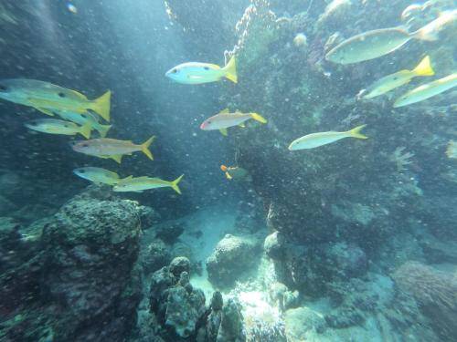 Ubytovanie s raňajkami Marsa Alam